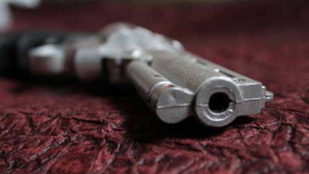   Comissão especial apoia compra de armas pela população