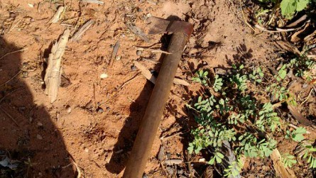  Agricultor é morto a golpes de machado na zona rural de Apodi