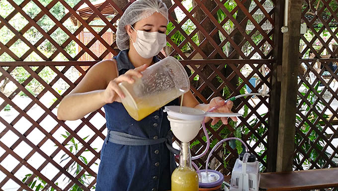   São mais de 70 criadores de abelhas sem ferrão na área urbana de Mossoró, que apesar das dificuldades impostas pelo carro fumacê, que mata as abelhas, conseguem produzir mais de 1 tonelada de mel por ano; Agora os produtores serão beneficiados com a nova lei sancionada pelo Governo Fatima Bezerra