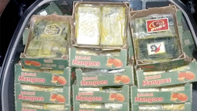  Droga estava dentro de um conteiner carregado de manga e tinha como destino a Holanda