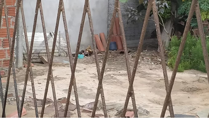   A jovem de 20 anos que mora na casa em que uma bebê foi encontrada enterrada, na Grande Natal, nesta quarta-feira (27) confessou à polícia que é a mãe da criança e que a enterrou no quintal depois do nascimento
