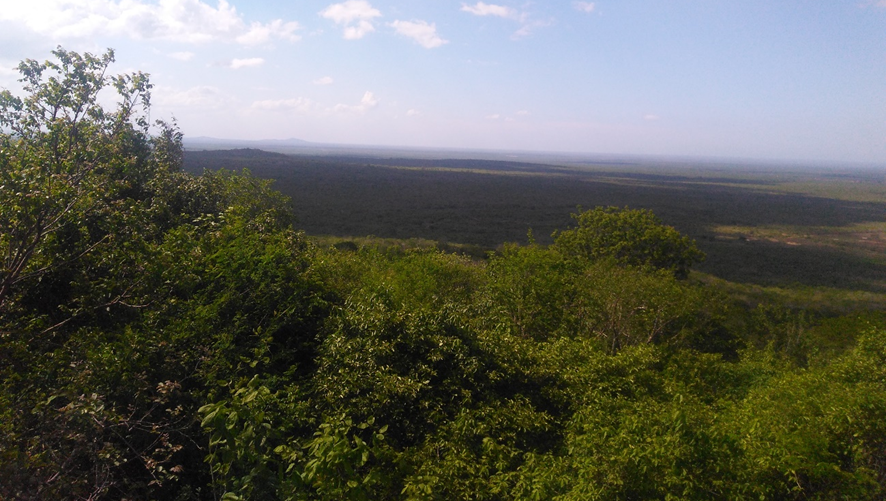   Pesquisadores da UFRN realizam trabalho apresentando a fauna da Furna Feia. "A nossa Caatinga,  assim como a Amazônia e a Mata Atlântica, também é uma floresta, só que mais aberta e seca durante os períodos longos de estiagem (Parque Nacional da Furna Feia)". 