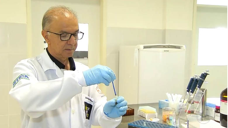   Segundo Dayson Castilhos, o agrotóxico fipronil foi detectado em 92% das amostras de abelhas utilizadas na pesquisa.