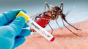   Foram 2.207 casos de Dengue confirmados por testes laboratoriais.