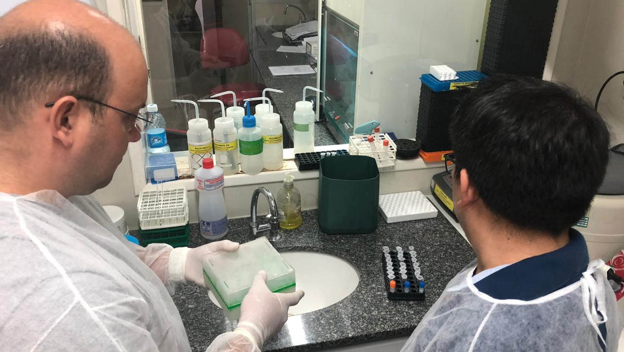   Técnicos do Laboratório Central do Estado (Lacen) estão treinamento no Laboratório de Referência Nacional para meningites bacterianas do Instituto Adolfo Lutz. 