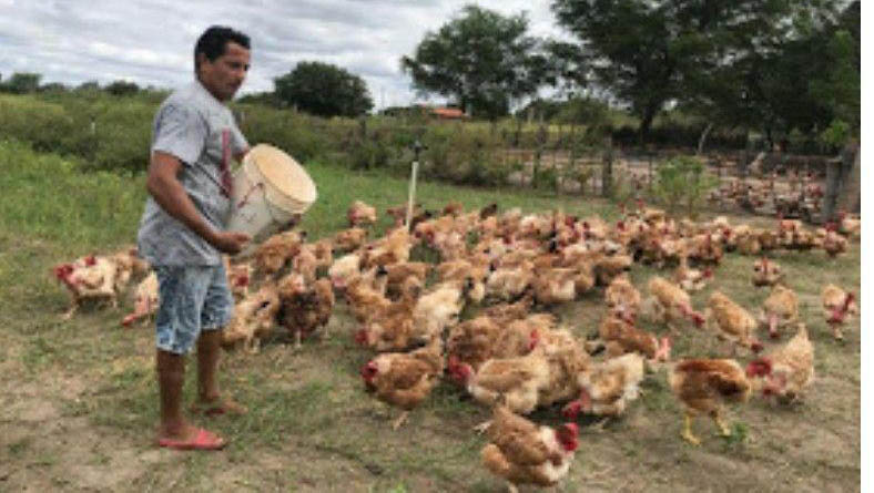   O programa é o “Pinto Caipira” é o único do gênero no estado do Rio Grande do Norte