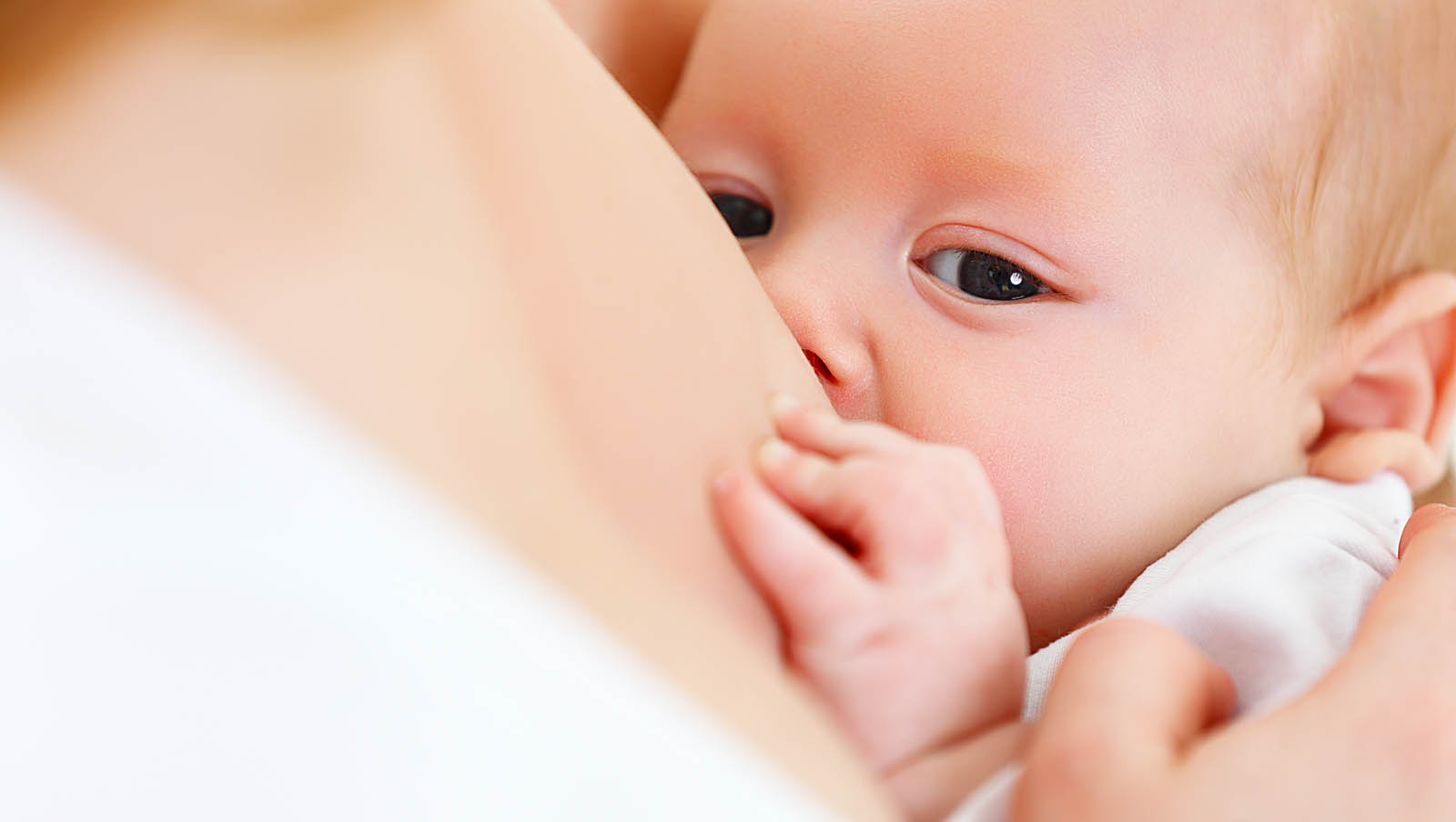 Imagem 1 -  Especialista esclarece os mitos e verdades sobre a amamentação. ‘‘Agora, tanto a mãe quanto o filho vão ter que criar e se encaixar em uma rotina de amamentação", explica a Pediatra.