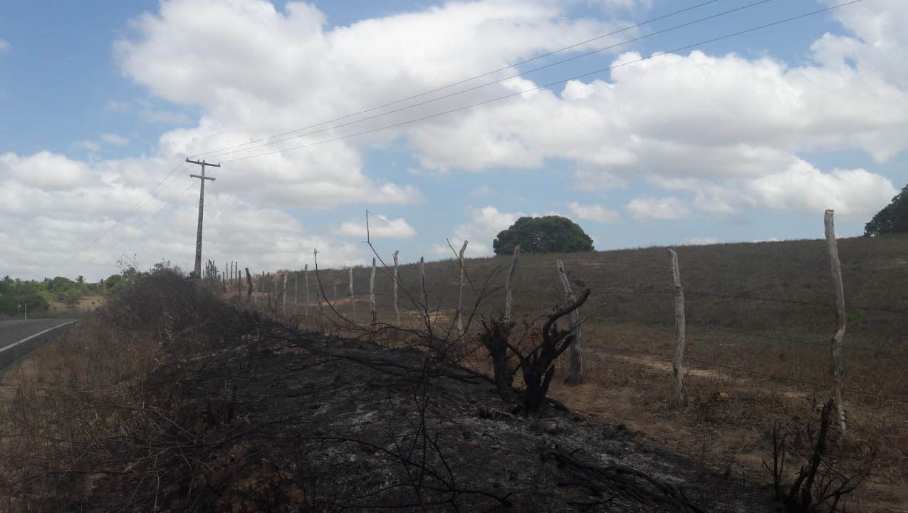   Cosern alerta para perigos causados por queimadas próximas à rede elétrica.