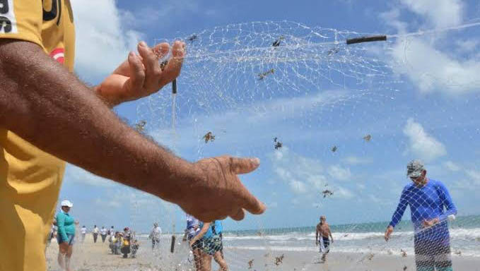   Assembleia Legislativa do RN vai debater a relevância da pesca artesanal para o estado. A iniciativa é da deputada Isolda Dantas e acontecerá nesta terça-feira (10).