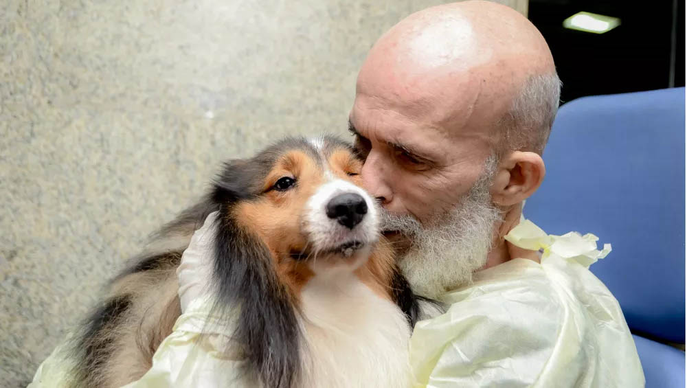   Paciente com câncer recebe visita de cachorro e médicos notam melhora no quadro clínico, em Recife/PE