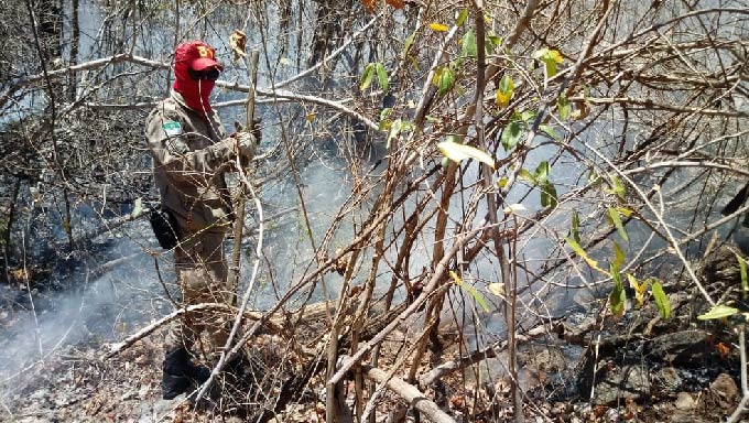   RN teve 21 registros de incêndio em um único dia, segundo os bombeiros.