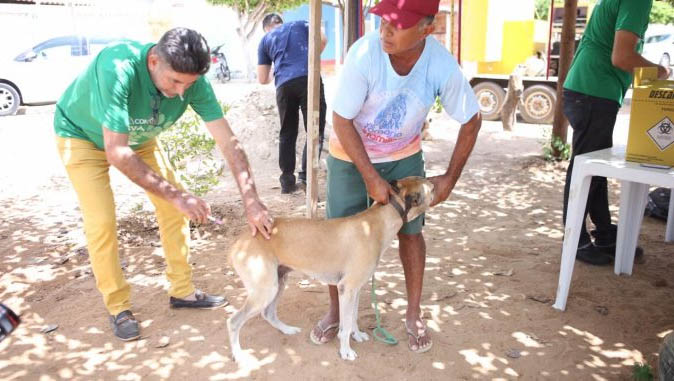   Campanha de Vacinação Antirrábica é prorrogada até 8 de novembro.