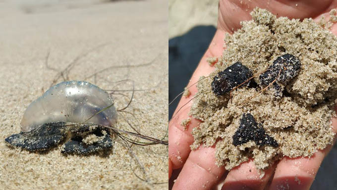   Manchas de óleo são encontradas na Praia de Gado Bravo, em Tibau.