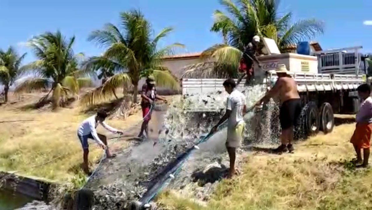   Mais de 1 milhão de peixes são resgatados e realocados em reservatórios do RN. O trabalho de resgate dos peixes que estavaM na barragem de Pau do Ferros, em situação de seca há quase 6 anos, durou 10 meses. Os números atualizados e os locais para onde os alevinos foram encaminhados foram divulgados nesta sexta-feira (3).