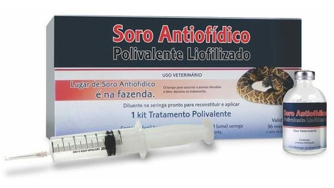  O Governo do Estado, através da Assessoria, alerta a população sobre a importância de se reforçar as medidas de prevenção contra acidentes envolvendo serpentes, sobretudo no momento atual, no qual se encontra crítico o estoque de soro antiofídico