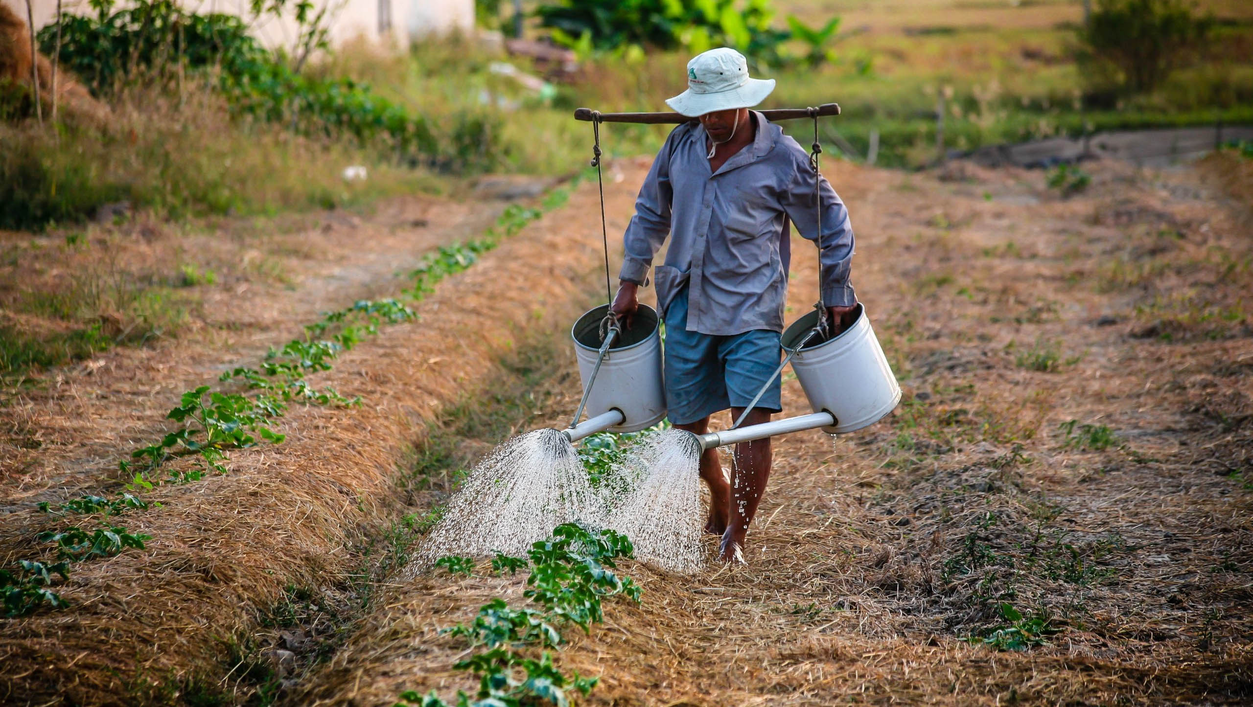  Recorde: safra de 2020 no RN foi a maior dos últimos nove anos. Chuvas acima da média em todas as regiões do Estado foram favoráveis à agricultura. As precipitações também garantiram uma recarga em mais de 50% nas reservas hídricas do RN, possibilitando a redução dos atuais 132 para apenas 18 municípios em Situação de Emergência por Seca; Novo decreto com a redução será publicado na próxima semana.