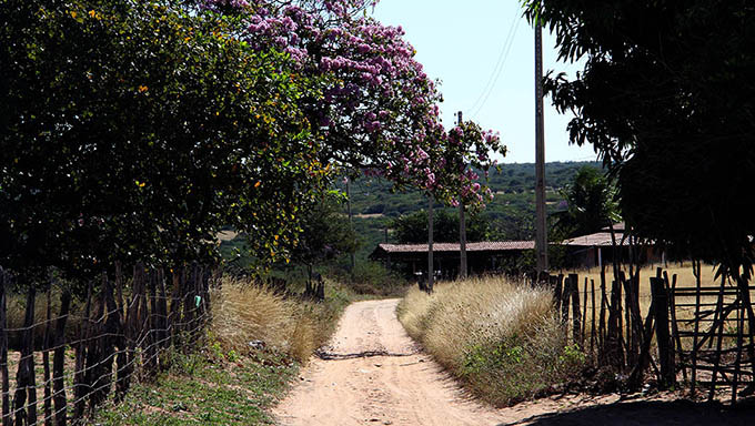   Situação de emergência continua em 18 municípios do Oeste do RN; Permanecem em Situação de Emergência os seguintes municípios: Apodi, Água Nova, Coronel João Pessoa, Doutor Severiano Melo, Encanto, Equador, Francisco Dantas, Luiz Gomes, Paraná, Pau dos Ferros, Rafael Fernandes, Rodolfo Fernandes, Riacho de Santana, São Miguel, São Francisco do Oeste, Severiano Melo, Taboleiro Grande e Venha Ver.
