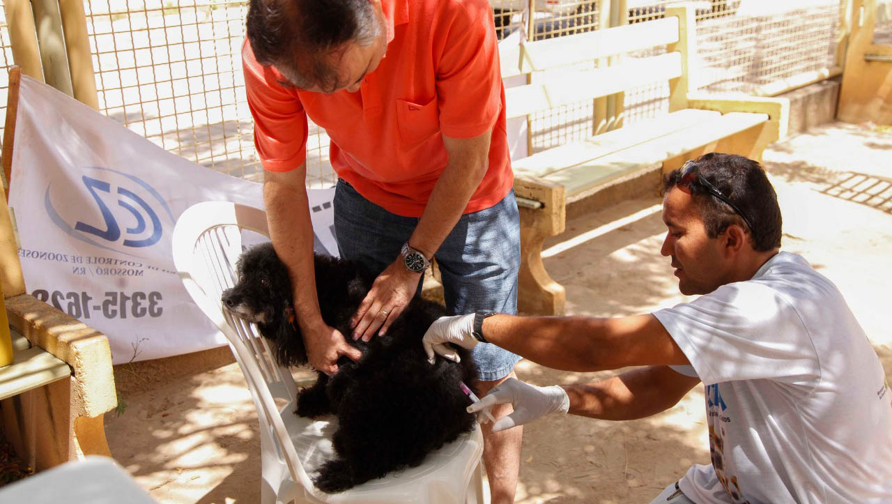   Confira pontos de vacinação antirrábica em Mossoró nesta quarta (16) e quinta (17). Equipes da Unidade de Vigilância em Zoonoses (UVZ) estarão em diferentes pontos da cidade com postos volantes para a vacinação de animais domésticos, das 14h às 16h30; Serão mais de 20 pontos, distribuídos em diferentes regiões da cidade, além dos pontos fixos e das equipes que atuam nas comunidades rurais. 
