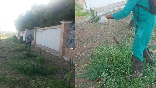   Gestão da Ufersa manda arrancar 60 mudas de plantas nativas da frente da instituição. As mudas, nativas da Caatinga, foram plantadas há um mês, por meio de um projeto do Professor Vander Mendonça, do curso de agronomia; A desculpa usada para removê-las foi que o Departamento Nacional de Infraestrutura de Transportes (DNIT) vai duplicar a BR-110, onde também serão construídos viadutos.