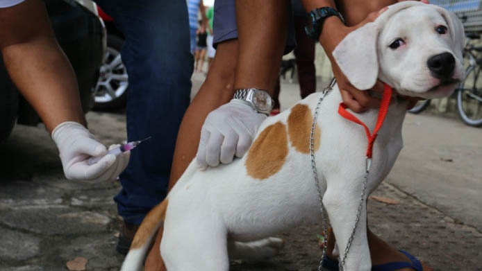   UVZ divulga mais 17 pontos volantes de vacinação antirrábica em Mossoró. O pontos irão funcionar desta segunda-feira (21) até a quinta-feira (24), em diferentes bairros da cidade; Os donos de cães e gatos poderão levar seus bichinhos para receber a dose anual da vacina no horário das 14h às 16h30; Confira os locais de vacinação.