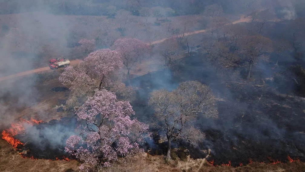   Número de focos de incêndio no Pantanal já são os maiores da história. De acordo com o Inpe, foram 6.048 pontos de queimadas registrados no bioma desde o dia 1º de setembro até quarta-feira (23). O recorde mensal anterior era de agosto de 2005, quando houve 5.993 focos. Três meses antes de terminar, 2020 também ultrapassou o recorde de queimadas em um ano: foram 16.201 focos registrados desde janeiro até ontem, contra 12.536 focos em todo o ano de 2005.