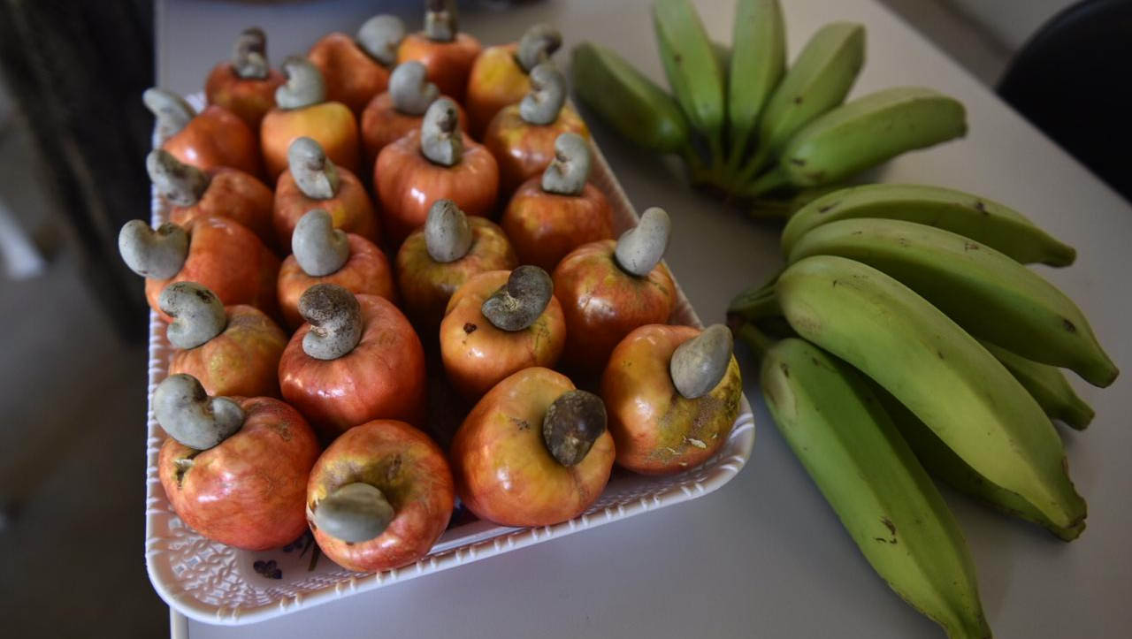   Fábrica de polpas equipada beneficia mais de 50 famílias de Mossoró e região. O investimento de R$ 938 mil em Mossoró engloba a construção da agroindústria, aquisição de equipamentos e beneficiamento de frutas e está pronto e equipado para ser operado pela Cooperativa de Agricultores e Agricultoras Familiares de Mossoró e região (Cooafam), composta quase que totalmente por mulheres, a partir do fim de 2020. A ação é parte do Governo Cidadão, com recursos viabilizados pelo Banco Mundial.