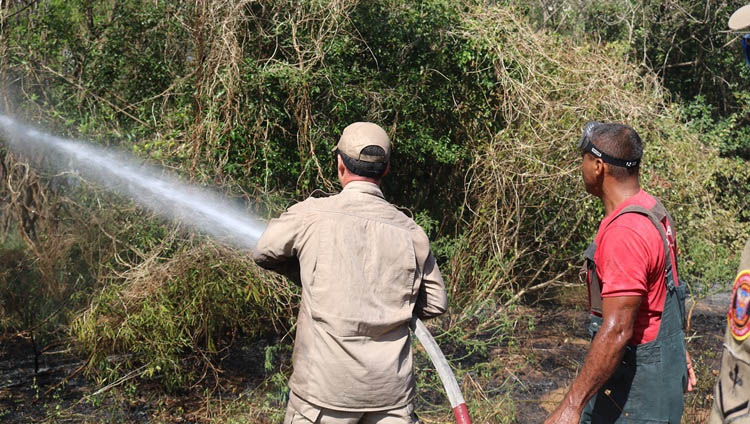   2° Grupamento de Bombeiros combate 245 incêndios florestais em setembro. Segundo o relatório estatístico repassado pela Diretoria de Engenharia e Operações (DEO), a área do quartel de Mossoró teve 116 ocorrências registradas, enquanto Caicó e Pau dos Ferros, respectivamente, registraram 70 e 59 atendimentos.