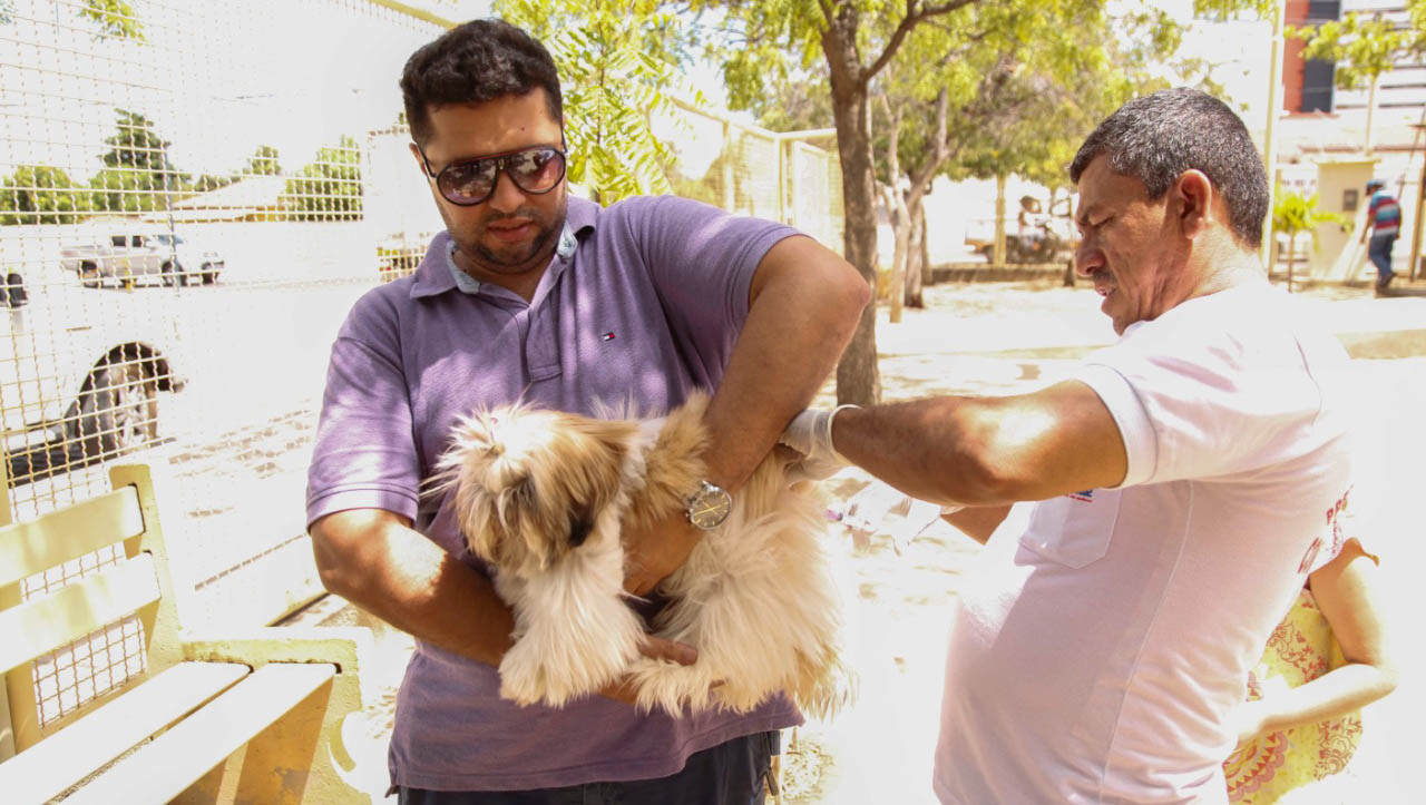   Dia D da Campanha de Vacinação Antirrábica acontece neste sábado (24). Serão 33 pontos de vacinação, funcionando das 8h à 17h. A vacinação animal começou no final de agosto, com pontos de vacinação fixos e volantes, além de agendamentos para vacinação de grupos de animais; Veja onde vacinar o seu animalzinho.