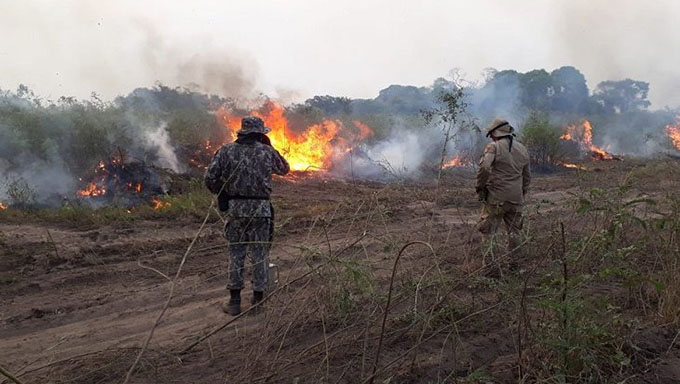   O fogo já incinerou 3,461 milhões de hectares na região. O  balanço foi divulgado no início do mês de outubro pela governo do Mato Grosso do  Sul.