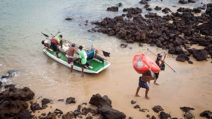   Pescadores do RN serão recadastrados em junho de 2021 e terão carteira digital. O anúncio foi feito pelo deputado Souza. Segundo ele, “cada pescador, ao se cadastrar e tiver o cadastro aprovado, terá sua carteira digital validada com data retroativa ao início da atividade. Retroagindo efeitos e garantindo seus direitos”. Há cinco anos os documentos profissionais dos trabalhadores não são emitidos, o que pode acarretar em perdas de benefícios.