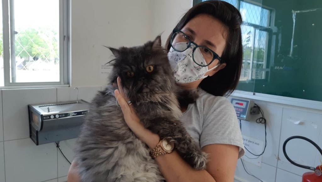   Hospital veterinário da Ufersa volta a funcionar após 10 meses sem atividades. O retorno, mesmo sendo de forma gradual, beneficia estudantes residentes que precisam da prática médica, bem como a população que não tem como pagar pelo serviço clínico e cirúrgico que é oferecido pela rede particular.