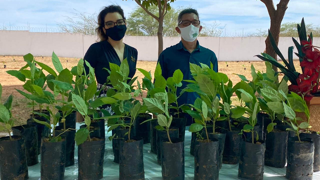   300 mudas de ipê serão plantadas em homenagem às vítimas da Covid-19 em Mossoró. A iniciativa, que leva o nome de “Bosque da Vida”, é uma parceria da Comissão Permanente de Gestão Ambiental (Copegam) Regional Oeste, coordenada pela juíza Cinthia Cibele Diniz, em parceria com a Ufersa. Boa parte das mudas serão plantadas no entorno do Fórum Desembargador Silveira Martins.