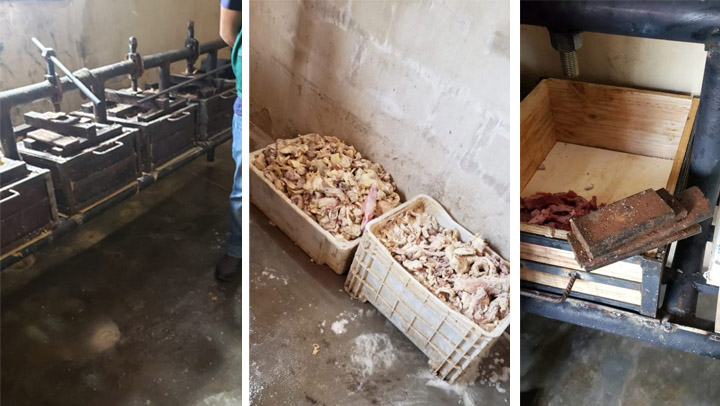   SIM e GCM  de Mossoró apreendem 740 kg de carne em charquearia clandestina. A apreensão aconteceu na manhã desta segunda-feira (15). A charquearia funcionava em uma residência. A carne seria utilizada para produção de charque, em condições higiênicas e sanitárias inadequadas, tornando-a imprópria para consumo. O material apreendido foi descartado no Aterro Sanitário Municipal.