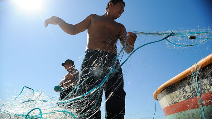   Recurso de 2021 vai beneficiar colônias de pescadores em diversas cidades. Programa do mandato trabalha para promover o desenvolvimento da atividade.