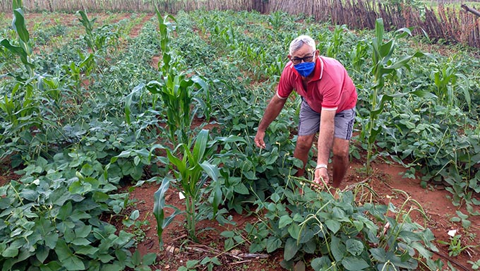   De acordo com o diretor Comercial e de Canais do Sicoob, Francisco Reposse Junior, que deve instalar agência em Mossoró até o próximo ano, o aumento de 26% na expectativa de novas concessões de crédito se deu porque, apesar dos percalços enfrentados durante a pandemia, o setor de agro está otimista com a produção dos próximos meses. "Atuamos tanto com recursos próprios quanto com linhas de financiamento do BNDES. Além de fundos governamentais como o Funcafé e o FCO", explica o executivo.