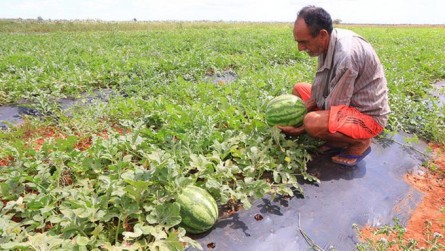   Garantia-Safra começa a ser pago a agricultores em novembro 