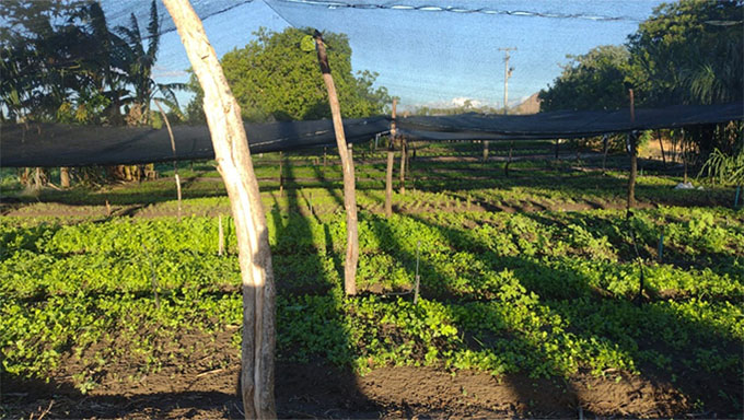   “Essa iniciativa está orçada em R$ 8,4 milhões e irá atender 2.800 famílias de agricultores e agricultoras familiares em quase 50 municípios do estado, chegando a aproximadamente 120 comunidades rurais em três anos de ação”, disse o titular da Sedraf, Alexandre Lima.