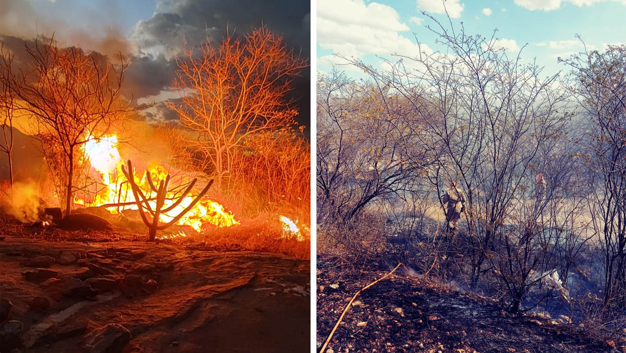   Região de Mossoró lidera estatísticas de incêndios florestais registrados na 1ª semana de setembro. Ao todo, foram 33 ocorrências na região desde o dia 1ª, quando foi lançada a Operação Abrace o Meio Ambiente (AMA) pelo CBMRN. Em todo o estado, foram registrados 101 incêndios florestais na primeira semana do mês. “Nesta época de baixa umidade relativa do ar e altas temperaturas, a propagação do fogo é favorecida. Em contato com o material combustível da vegetação, que é propenso a incêndios, as chamas podem se alastrar rapidamente. Por isso, precisamos estar atentos e pedimos também o apoio da população nessa conscientização", explicou o tenente-coronel Jerbes Lucena