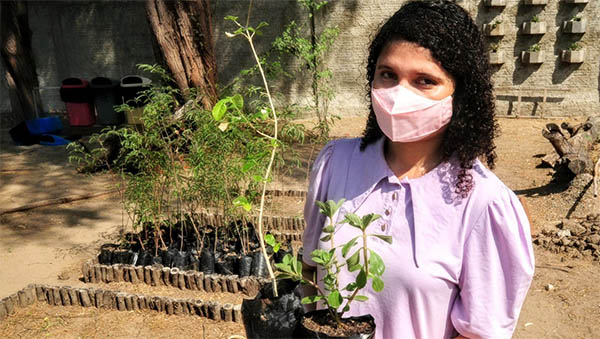   Prefeitura distribui mudas do “Mossoró Verde” à população nas sextas e sábados. O programa visa à arborização da cidade para proporcionar melhorias nas dimensões ambiental e climática. Os interessados podem receber as mudas no Parque Municipal Professor Maurício de Oliveira, das 8h às 11h. O programa “Mossoró Verde” tem a meta de produção de 25 mil mudas por ano, das quais 10 mil serão distribuídas à população e as demais serão plantadas na cidade.