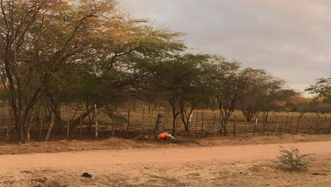    Em contato com o MOSSORÓ HOJE, os moradores da comunidade do Rincão disseram que a vítima não mora lá.  As fotografias divulgadas nos grupos da comunidade, mostra que a vítima veste camiseta laranja, short estilo sufista e está descalço e tem um relógio no braço esquerdo.
