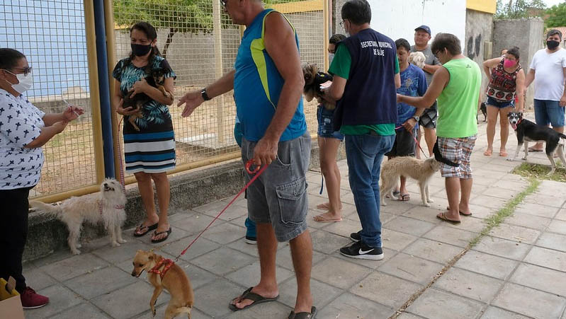   Mossoró contará com 22 pontos de vacinação antirrábica nesta sexta (22). Os locais de vacinação serão instalados em bairros diferentes para facilitar o acesso dos proprietários de animais. A vacinação acontecerá das 7h às 12h. O diretor administrativo do Centro de Zoonoses, João Paulo Silva, reforça que, além dos pontos disponibilizados nas sextas, a imunização de cães e gatos também pode ser realizada diariamente, de segunda a sexta-feira, das 7h às 11h e das 13h às 17h, no próprio CCZ. O Centro está localizado na Rua Dr. Moisés da Costa Lopes, 48, bairro Nova Betânia.