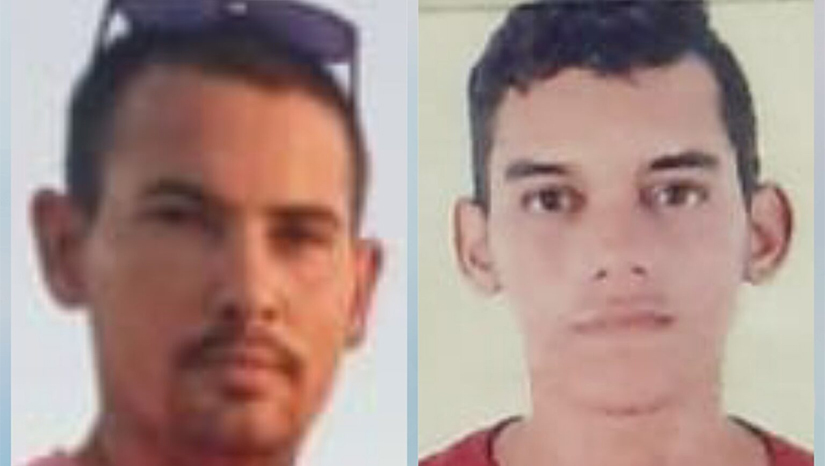 Imagem 1 - Imagem 1 -