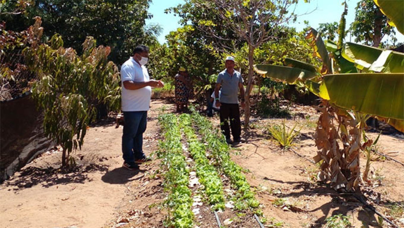 Imagem 1 - Para ensinar os pequenos produtores rurais, a Secretaria Municipal de Agricultura e Desenvolvimento Rural da Prefeitura de Mossoró firmou parceria com o SEBRAE e com a FUNCERN, para capacitar o pequeno produtor rural a melhorar e ampliar a produção, garantindo assim mais renda e qualidade de vida; Veja como produzir o "Microrganismo Eficiente", que combate os vermes que matam as plantas pela raiz. Imagem 1 - Para ensinar os pequenos produtores rurais, a Secretaria Municipal de Agricultura e Desenvolvimento Rural da Prefeitura de Mossoró firmou parceria com o SEBRAE e com a FUNCERN, para capacitar o pequeno produtor rural a melhorar e ampliar a produção, garantindo assim mais renda e qualidade de vida; Veja como produzir o "Microrganismo Eficiente", que combate os vermes que matam as plantas pela raiz.