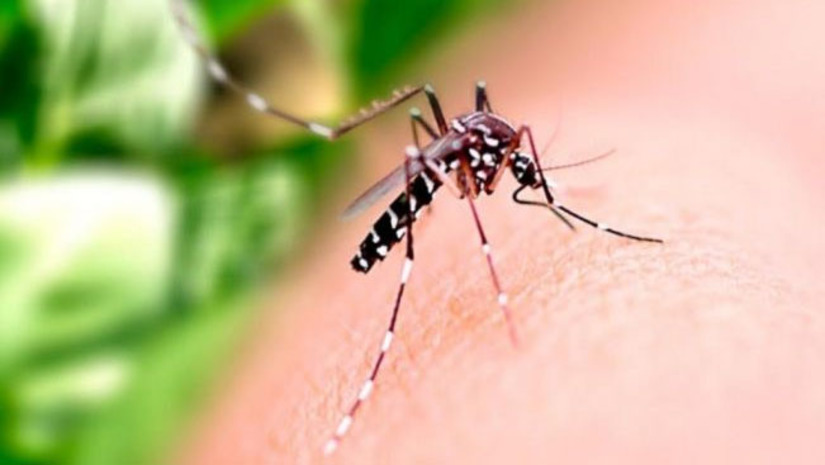 Imagem 1 - Sesap registra aumento de notificações de casos de dengue nas primeiras semanas de 2022 no RN. O dado leva em consideração a comparação com o mesmo período de 2021. Na primeira semana epidemiológica de 2021 foram notificados 28 casos prováveis de dengue, na primeira semana de 2022 foram 137, e na segunda, 144 casos, mostrando um aumento considerável em relação ao ano passado. Esse aumento contínuo já estava ocorrendo no final do ano e a incidência das arboviroses é maior no período da sazonalidade dessas doenças. Imagem 1 - Sesap registra aumento de notificações de casos de dengue nas primeiras semanas de 2022 no RN. O dado leva em consideração a comparação com o mesmo período de 2021. Na primeira semana epidemiológica de 2021 foram notificados 28 casos prováveis de dengue, na primeira semana de 2022 foram 137, e na segunda, 144 casos, mostrando um aumento considerável em relação ao ano passado. Esse aumento contínuo já estava ocorrendo no final do ano e a incidência das arboviroses é maior no período da sazonalidade dessas doenças.
