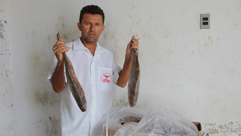 Imagem 1 -  O projeto “Peixe Popular” é uma ação que possibilita a famílias de baixa renda ter na mesa esse alimento na tradicional Semana Santa. As vendas vão acontecer a partir da quarta-feira (13). No total, serão 14 toneladas de peixes que estarão disponíveis a um preço acessível. Os peixes serão vendidos em sete pontos da cidade: parada de ônibus do bairro Nova Vida na BR-304; proximidades da delegacia do Alto de São Manoel; Cobal; UEI Tereza Néo no bairro Santo Antônio; praça do bairro Santa Delmira (ao lado do Supermercado Queiroz); Centro Comercial do bairro Abolição II; e Praça da Pirâmide no bairro Belo Horizonte.