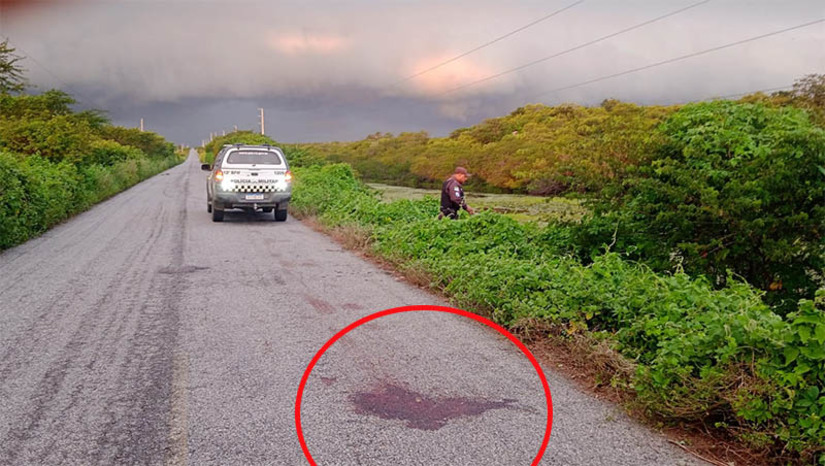 Imagem 1 - Imagem 1 -