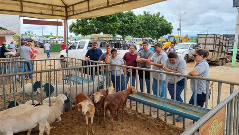 Imagem 1 -  A EXPOAP é uma realização do Governo do Estado por meio da Secretaria da Agricultura da Pecuária e da Pesca (Sape/RN) e em parceria com a Prefeitura Municipal de Apodi e a Federação da Agricultura e Pecuária do RN (Faern/RN). O município de Apodi é o sexto a receber o Circuito Estadual de Exposições Agropecuárias. O Prefeito Alan Silveira enaltece o evento, observando que enriquece o homem do campo com conhecimento e amplia as possibilidades de negócios