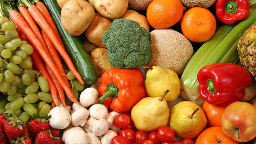 Imagem 1 - Os vegetais são os alimentos com maior fonte de fibras, o que é ótimo para manter o intestino regulado e uma digestão saudável. Além disso, eles ajudam a controlar quem tem problemas de colesterol, além de evitar problemas futuros de diabetes. Imagem 1 - Os vegetais são os alimentos com maior fonte de fibras, o que é ótimo para manter o intestino regulado e uma digestão saudável. Além disso, eles ajudam a controlar quem tem problemas de colesterol, além de evitar problemas futuros de diabetes.