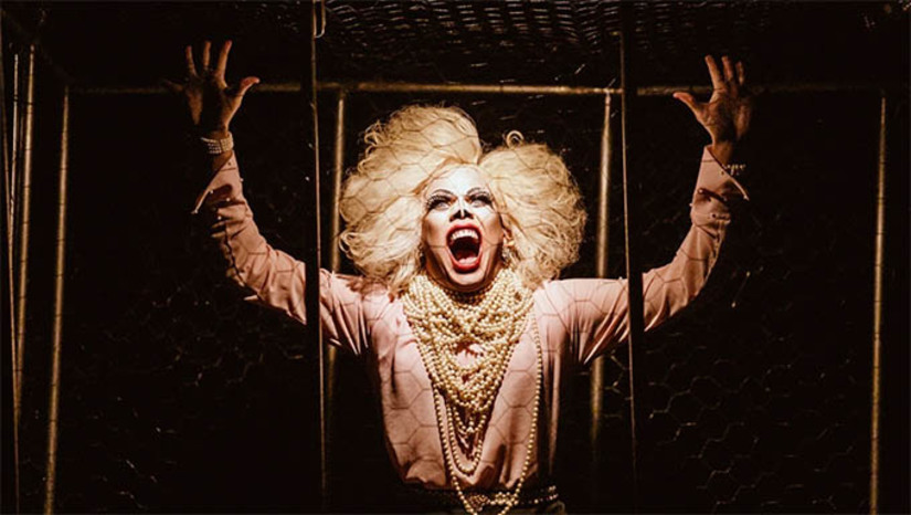 Imagem 1 -  Premiado espetáculo "A Mulher Monstro" retorna neste sábado a Mossoró. A apresentação, que faz parte de uma turnê da S.E.M. Cia. de Teatro pelo Brasil, acontecerá ao ar livre, a partir das 21 horas, na Praça Cícero Dias, localizada na frente do Teatro Dix-Huit Rosado