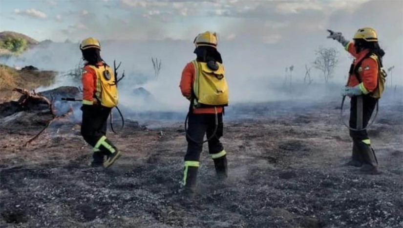 Imagem 1 - CBM registrou 307 incêndios florestais no RN nos meses de agosto e setembro de 2022. O Corpo de Bombeiros alerta que em caso de necessidade, como os agricultores que preparam seus terrenos, é importante fazer aceiros, que são faixas ao longo das cercas aonde a vegetação foi completamente eliminada da superfície do solo, cuja finalidade é prevenir a passagem do fogo para a área de vegetação. Também devem observar qual o melhor tempo e horário. Em 2021, no mesmo período, foram atendidas 507 ocorrências de incêndio florestal no Rio Grande do Norte. Imagem 1 - CBM registrou 307 incêndios florestais no RN nos meses de agosto e setembro de 2022. O Corpo de Bombeiros alerta que em caso de necessidade, como os agricultores que preparam seus terrenos, é importante fazer aceiros, que são faixas ao longo das cercas aonde a vegetação foi completamente eliminada da superfície do solo, cuja finalidade é prevenir a passagem do fogo para a área de vegetação. Também devem observar qual o melhor tempo e horário. Em 2021, no mesmo período, foram atendidas 507 ocorrências de incêndio florestal no Rio Grande do Norte.